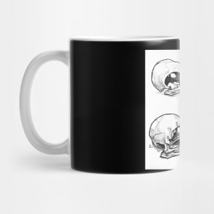 Crow Skulls Mug